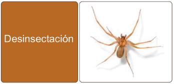 desinsectacion